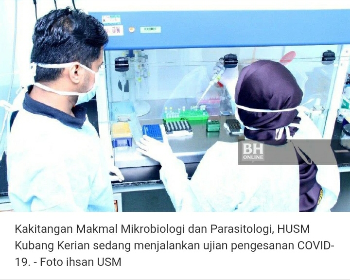 MAKMAL HUSM BANTU KKM BUAT UJIAN SAMPEL COVID 19
