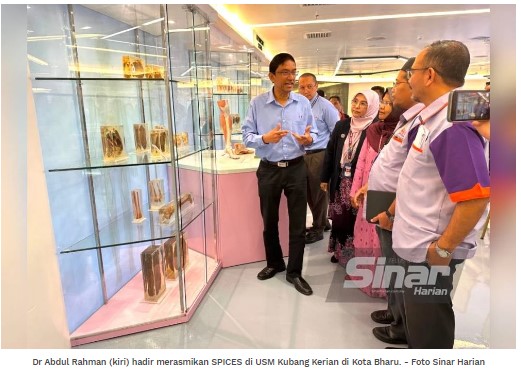 Sinar spices 2